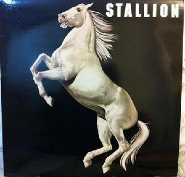 Stallion  - Stallion